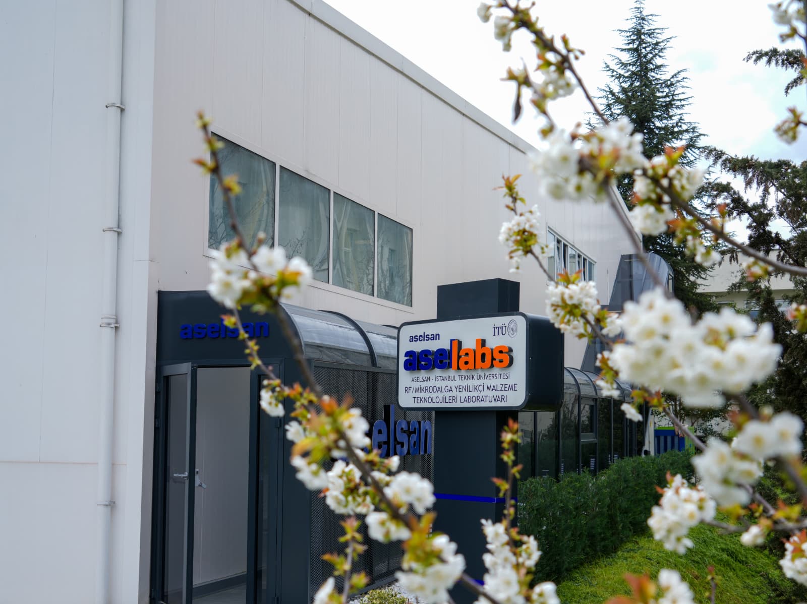 aselabs-1